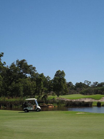 Golf-cart-on-green