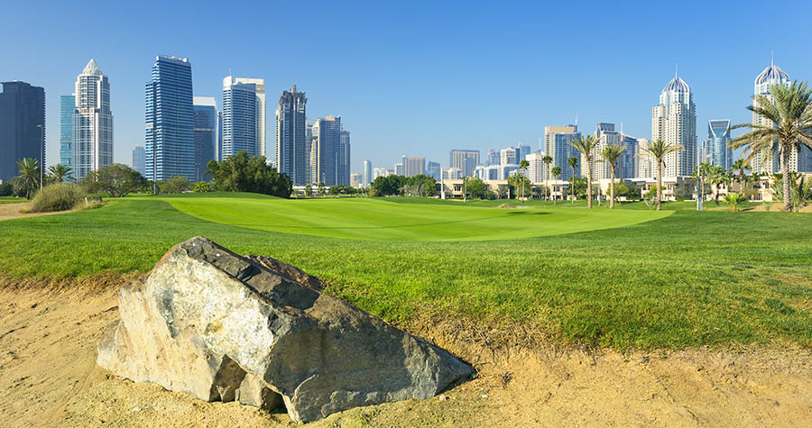 Nature around Dubai Marina in modern Dubai city,United Arab Emirates