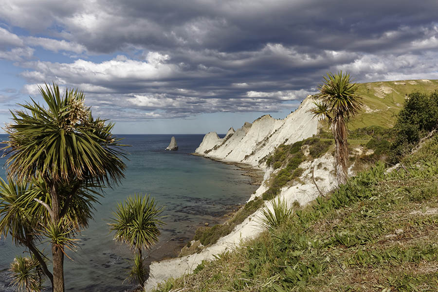 The cliffs of Cape Kidnappers, New Zealand.